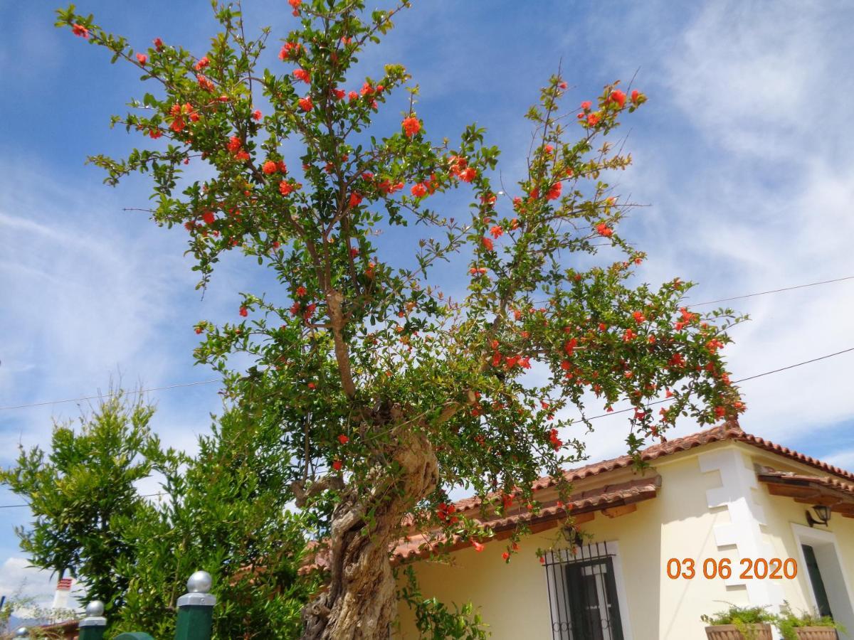 Traditional Guesthouse Asimakis Anifion Екстер'єр фото